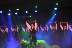 Raubritterball