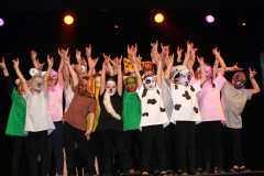 Showtanz beim Raubritterball