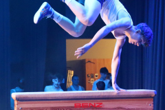 Ringerball-213